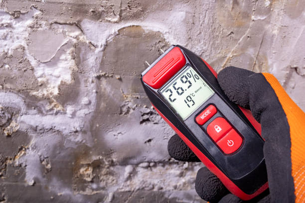 Best Certified Mold Removal  in Biola, CA