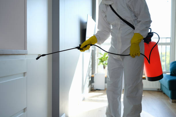 Best Commercial Mold Removal  in Biola, CA