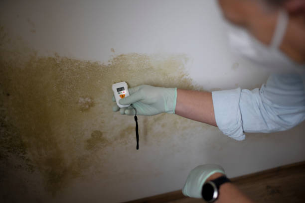 Best Mold Testing  in Biola, CA