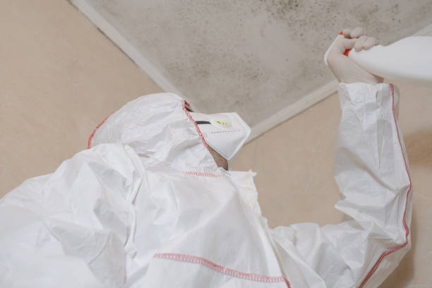 Best Residential Mold Removal  in Biola, CA