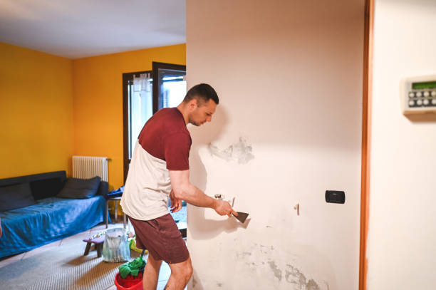 Best Black Mold Removal  in Biola, CA
