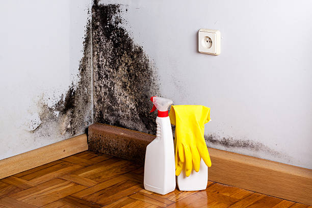 Best Crawl Space Mold Removal  in Biola, CA